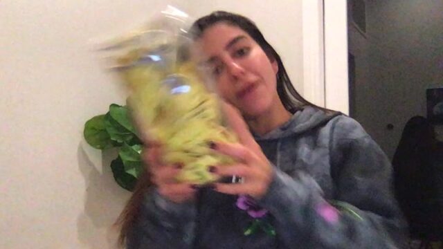 lenatheplug leaked video